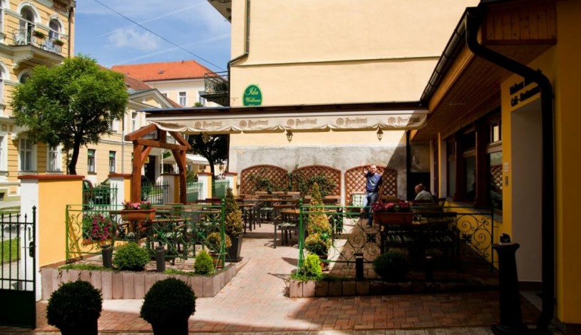 Wellness hotel Ida Františkovy Lázně